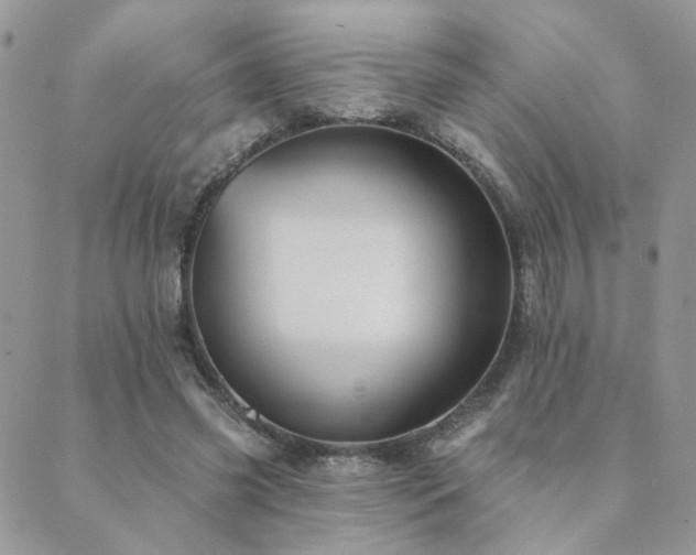 X0000089680541200706211227