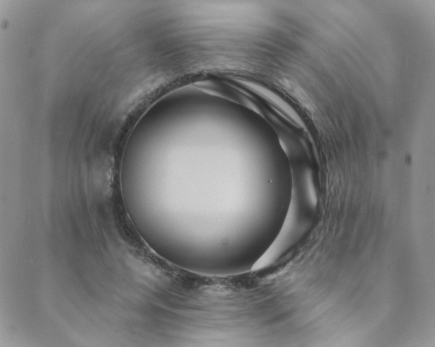 X0000089680544200706211227