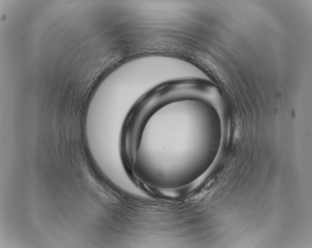 X0000089680546200706211227