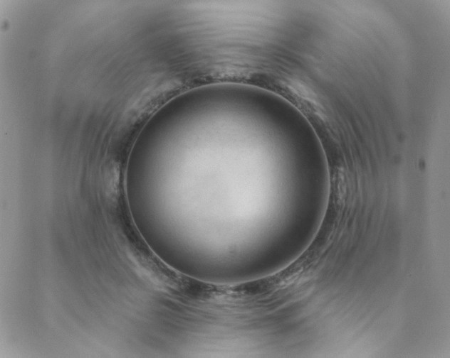 X0000089680550200706211227
