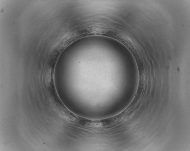 X0000089680554200706211227