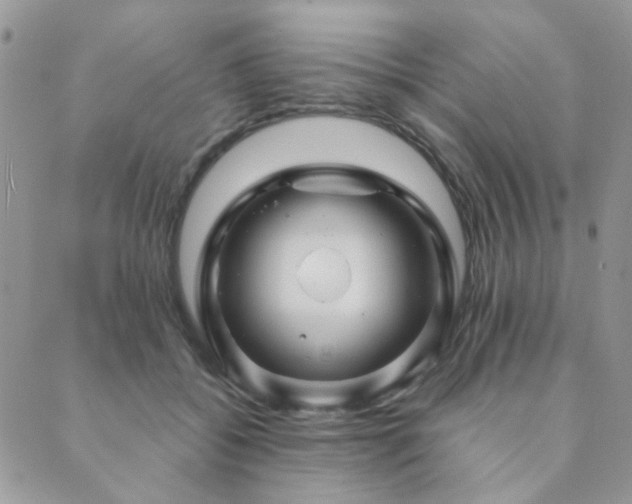 X0000089680556200706211228