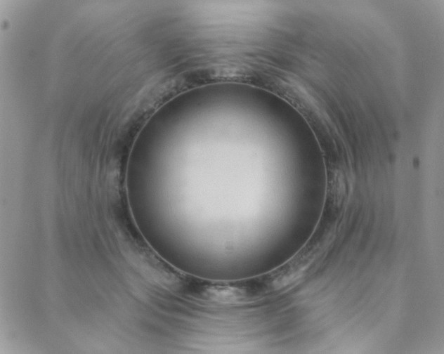 X0000089680557200706211228