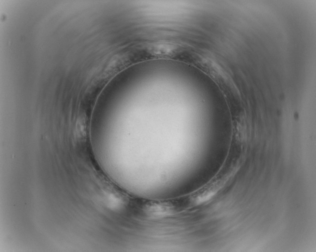 X0000089680561200706211228
