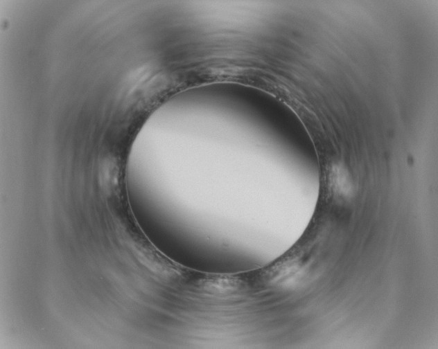 X0000089680567200706211228