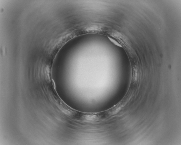 X0000089680575200706211228