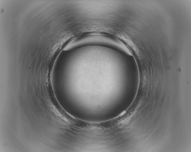 X0000089680585200706211227