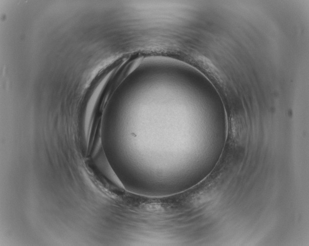 X0000089680588200706211227