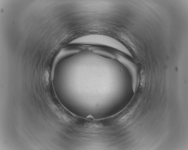 X0000089680597200706211227