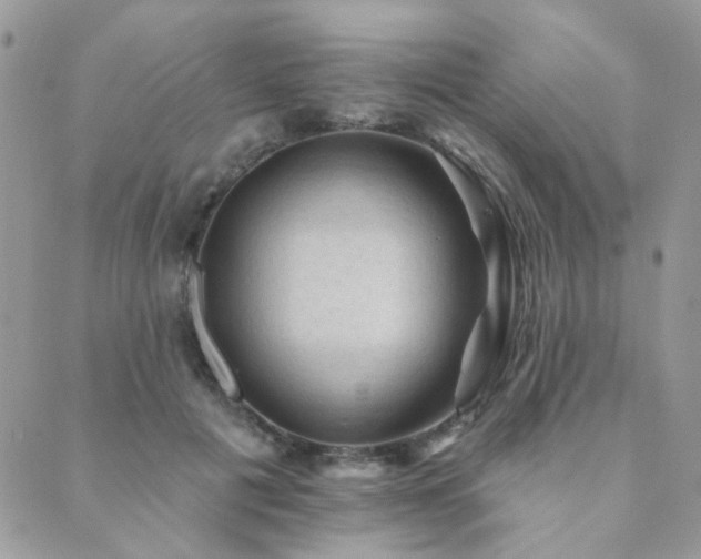 X0000089680601200706211227