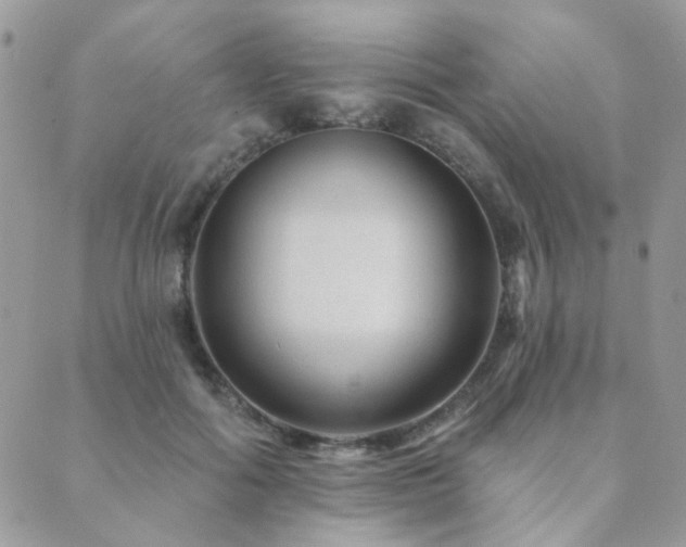 X0000089680602200706211227