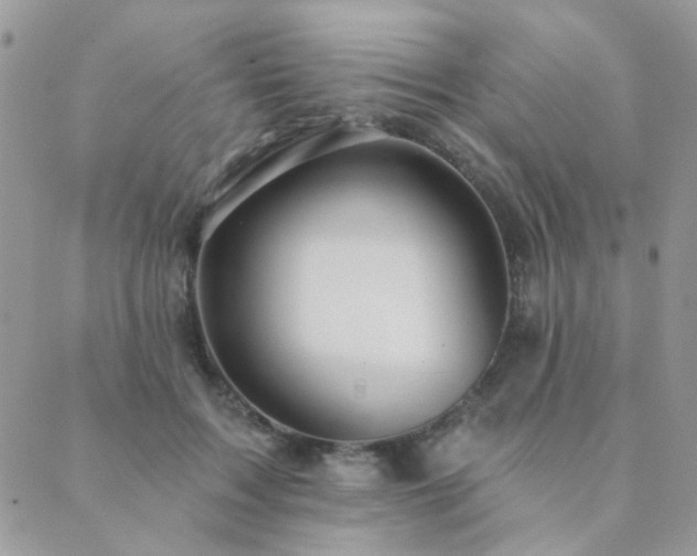 X0000089680603200706211227