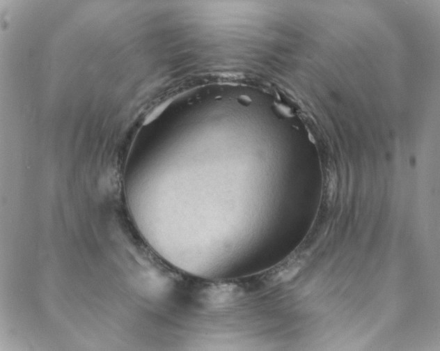 X0000089680609200706211227