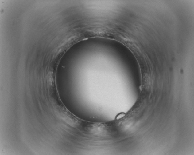 X0000089680612200706211227