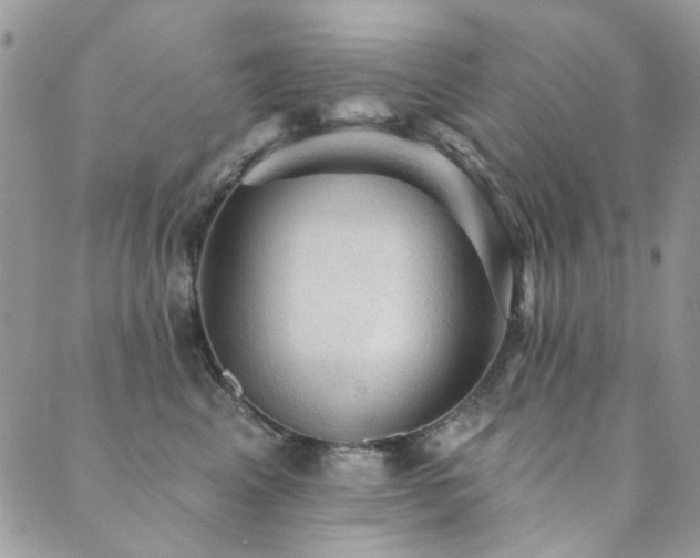 X0000089680617200706211226