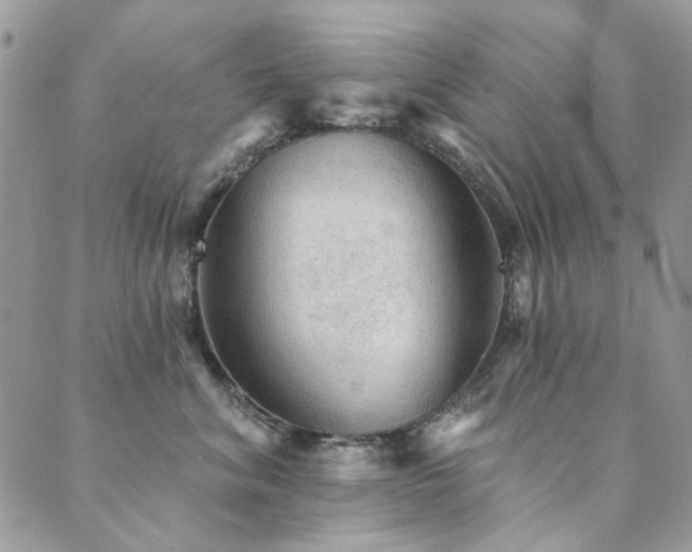 X0000089680620200706211226
