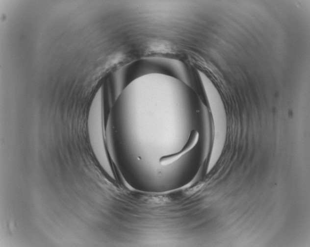 X0000089680621200706211226