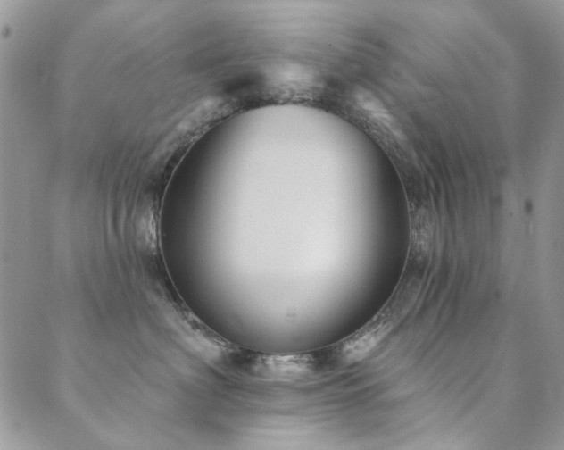 X0000089680622200706211226