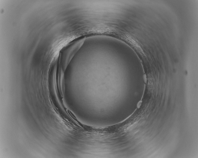 X0000089680626200706211226