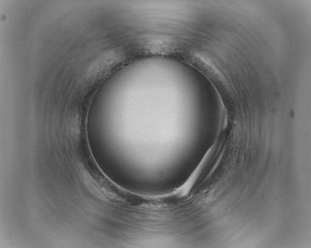 X0000089680639200706211226