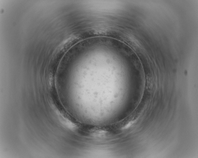 X0000089680648200706211226