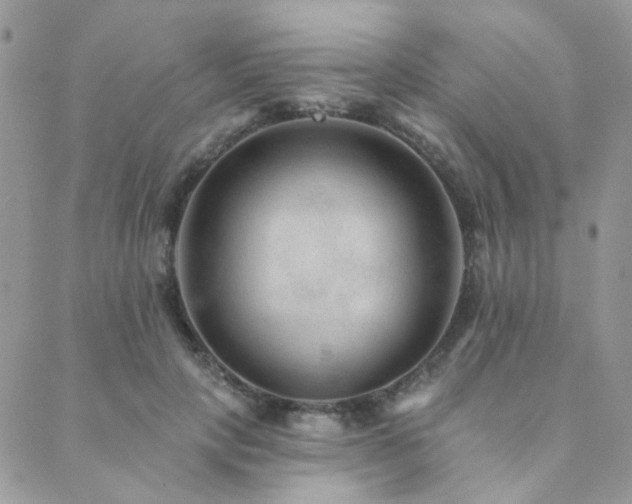 X0000089680649200706211226