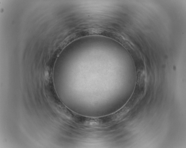 X0000089680655200706211226