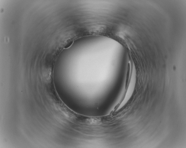X0000089680660200706211226