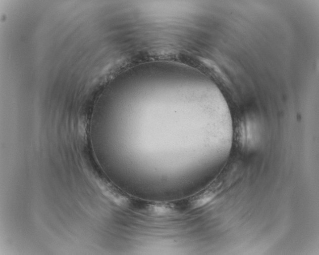 X0000089680662200706211226