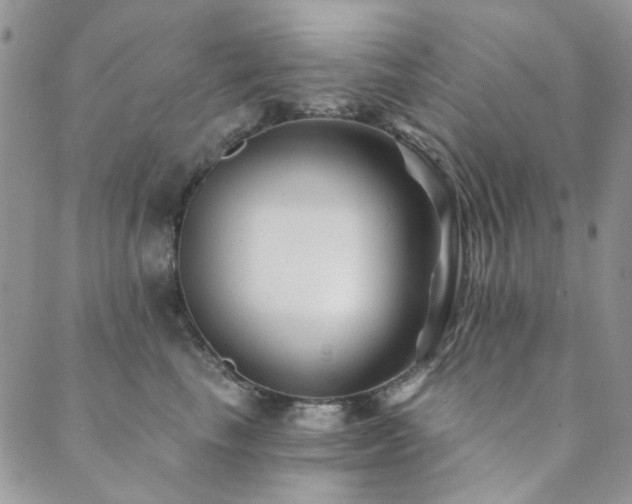 X0000089680665200706211226