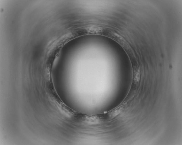 X0000089680666200706211226
