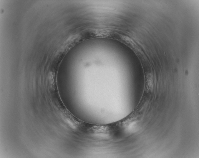 X0000089680667200706211226
