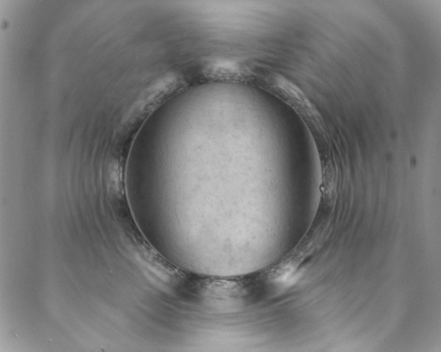 X0000089680669200706211226