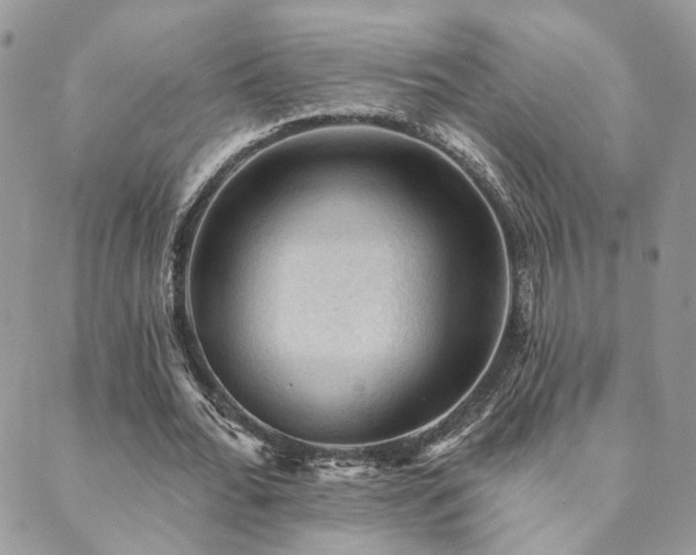 X0000089680676200706211225