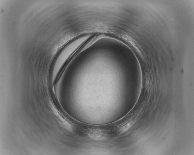 X0000089680677200706211225