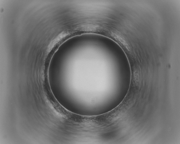 X0000089680682200706211225