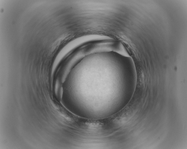 X0000089680693200706211225