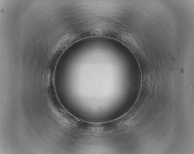 X0000089680694200706211225