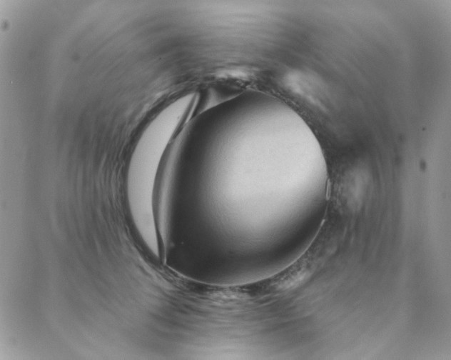 X0000089680708200706211225