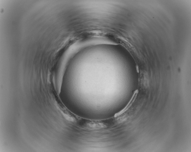 X0000089680712200706211225