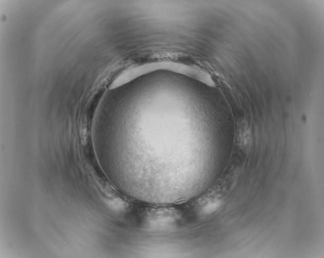 X0000089680716200706211225