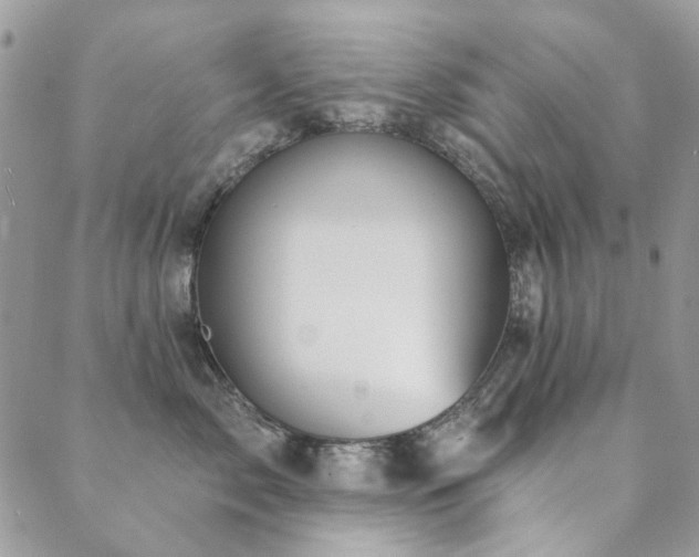X0000089680717200706211225
