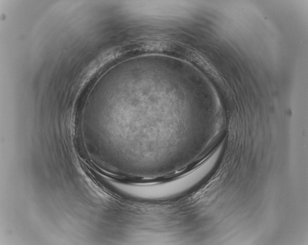 X0000089680722200706211224