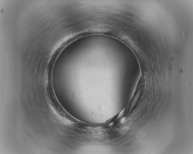 X0000089680726200706211224
