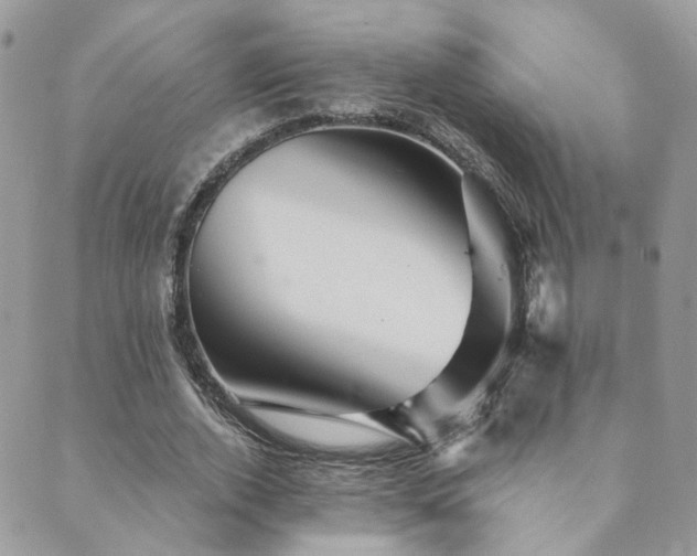 X0000089680728200706211224