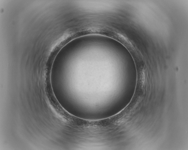 X0000089680730200706211224