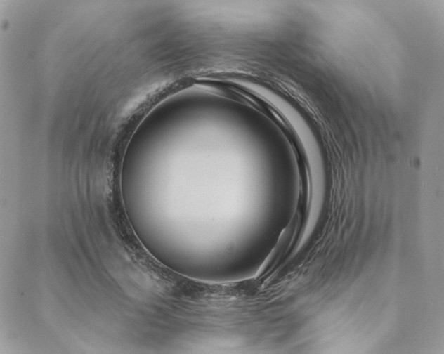 X0000089680732200706211224
