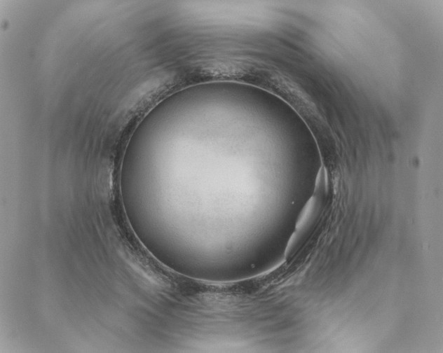 X0000089680733200706211224