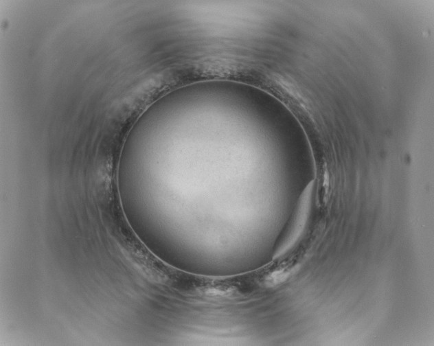 X0000089680737200706211224