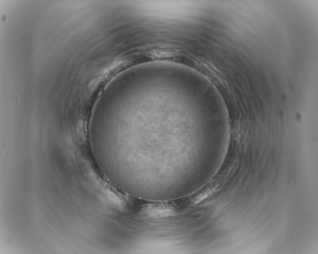 X0000089680763200706211225